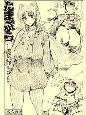(C81) [沙悟荘 (瀬浦沙悟)] たまぶら (トゥハート2) [不咕鸟汉化组]