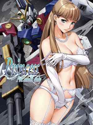 (C107) [メタボ喫茶異臭騒ぎ (いたちょう)] Princess (新機動戦記ガンダムW) [カラー化] [DL版]